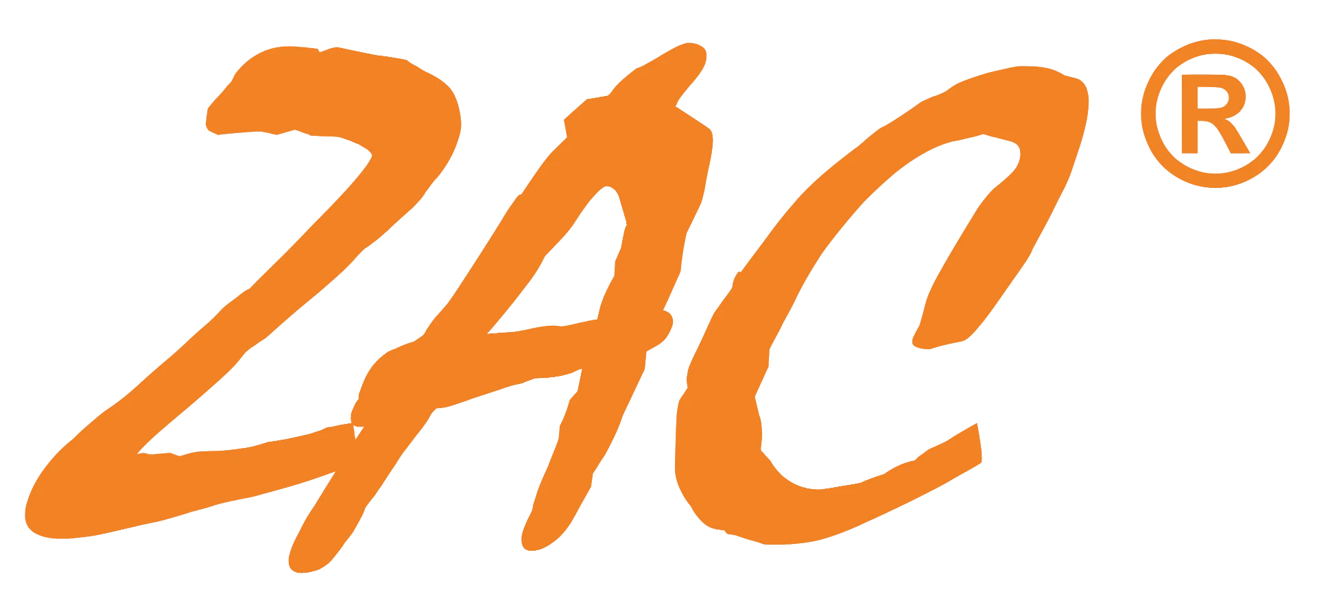 Z Advanced Computing, Inc. (ZAC) logo